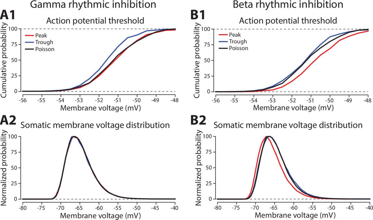 Figure 6. Phase-dependent effects of gamma and beta rhythmic inhibition on somatic excitability.