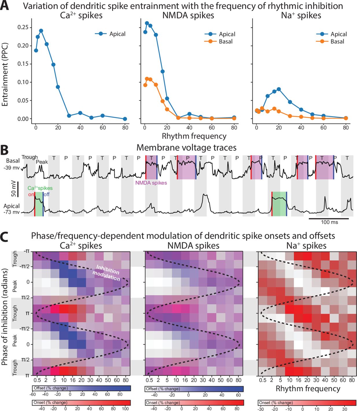 Figure 7. Frequency- and phase-dependent effects of inhibitory rhythms on the distal dendrites.