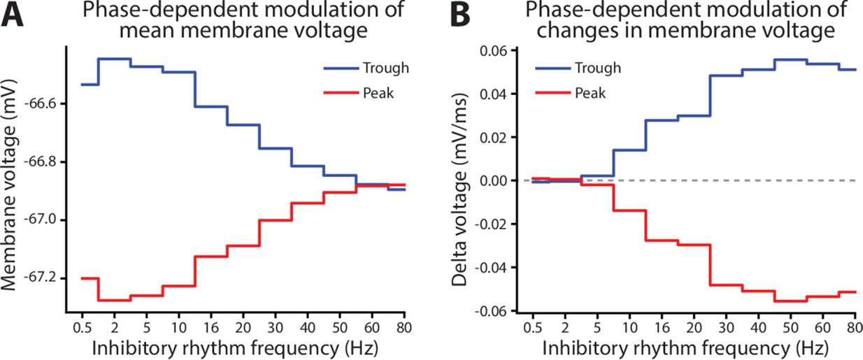 Figure 8. Frequency- and phase-dependent effects of inhibitory rhythms on the perisomatic region.