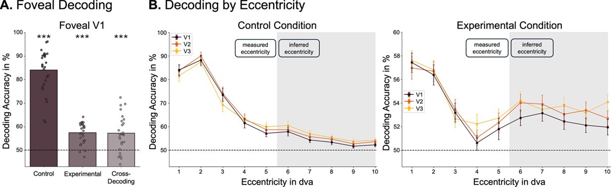Figure 2. Foveal feedback can be decoded from V1.