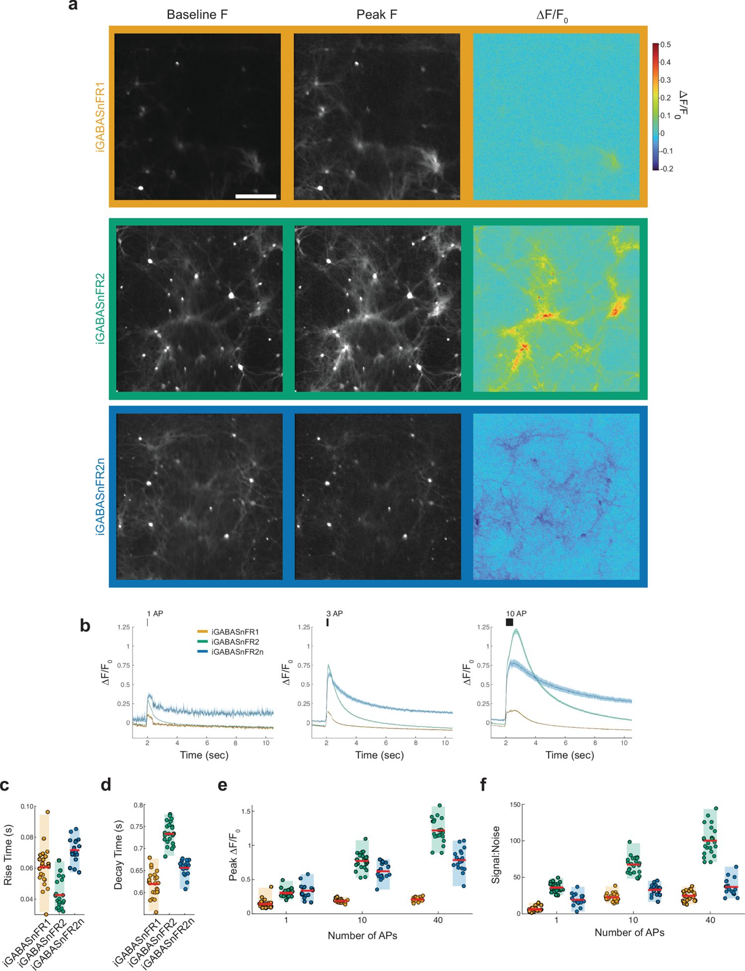 Figure 2. Characterization of iGABASnFR variants in cultured neurons.