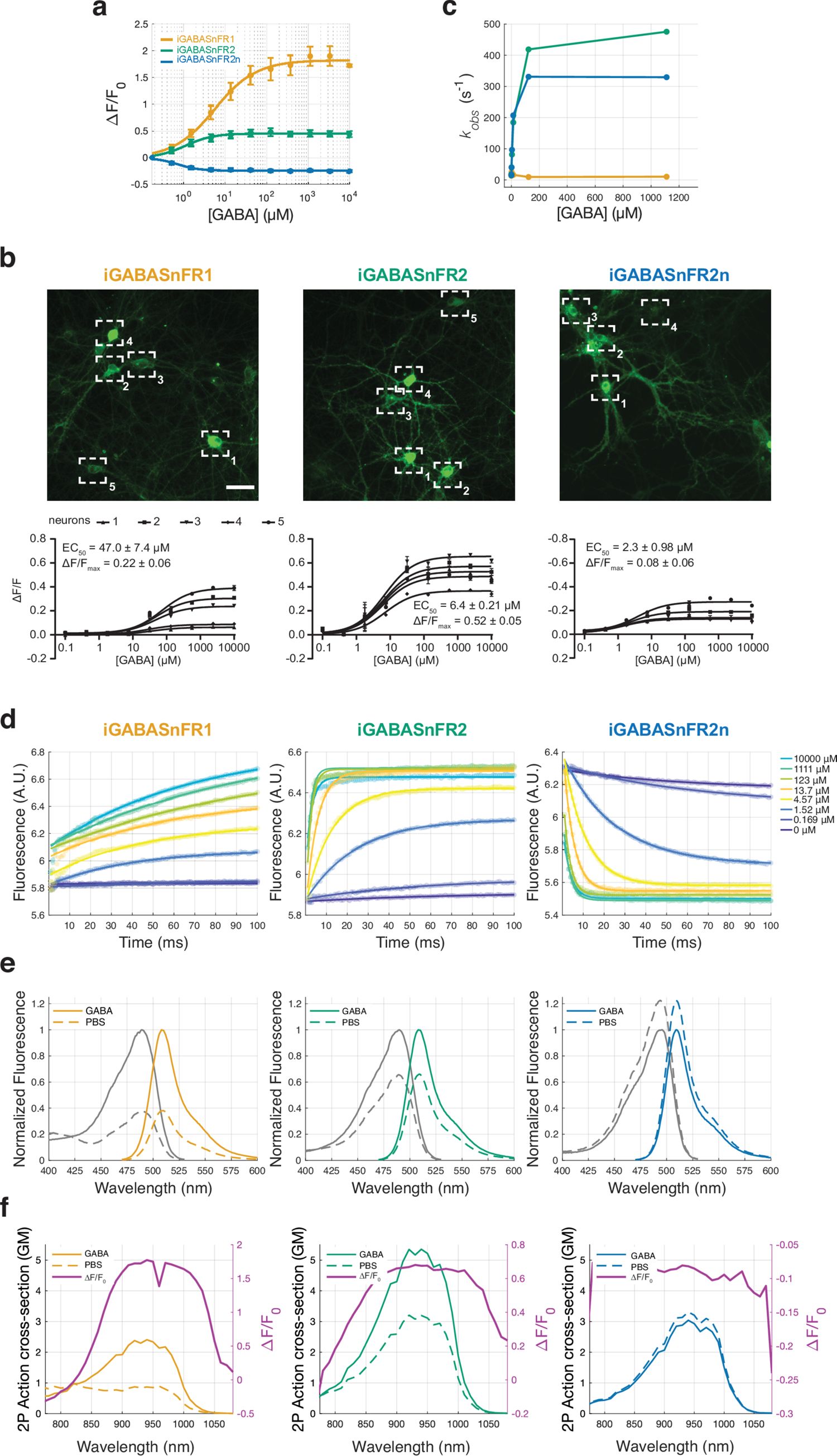 Figure 4. Biophysical properties of iGABASnFR variants.