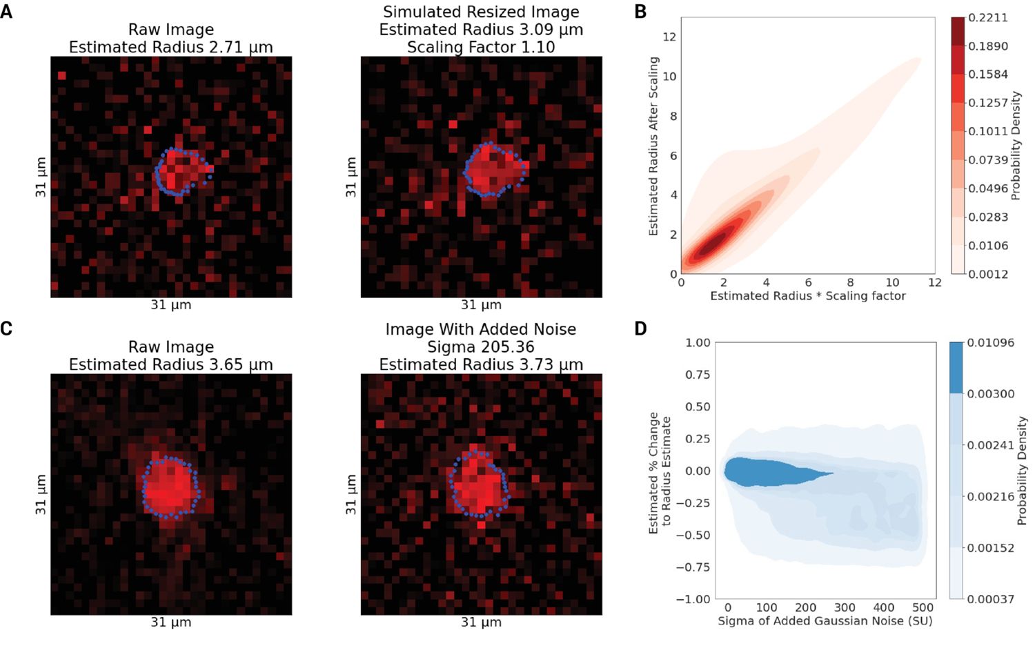 Figure 5. Estimation of simulated radii changes.