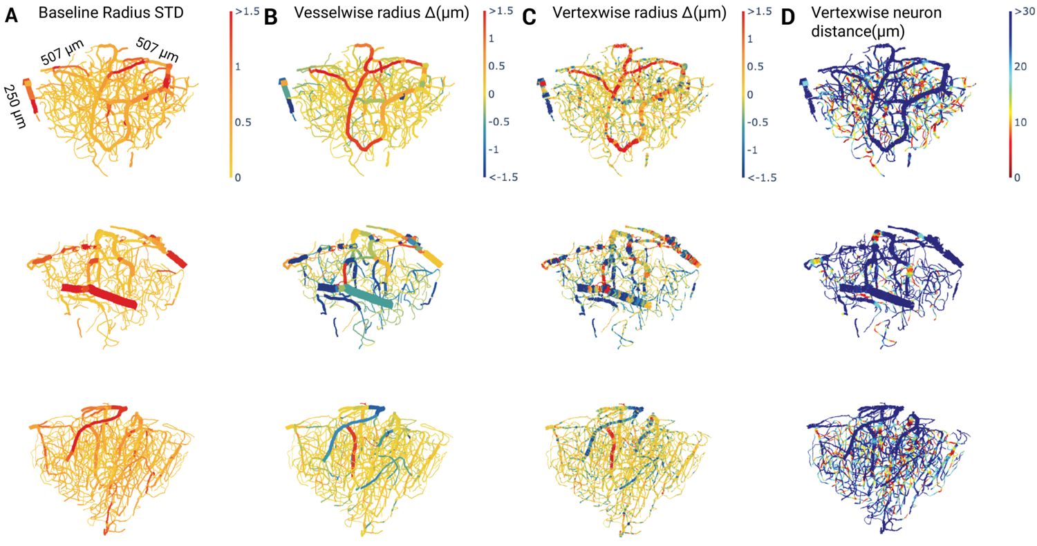 Figure 6. Vascular graph examples.