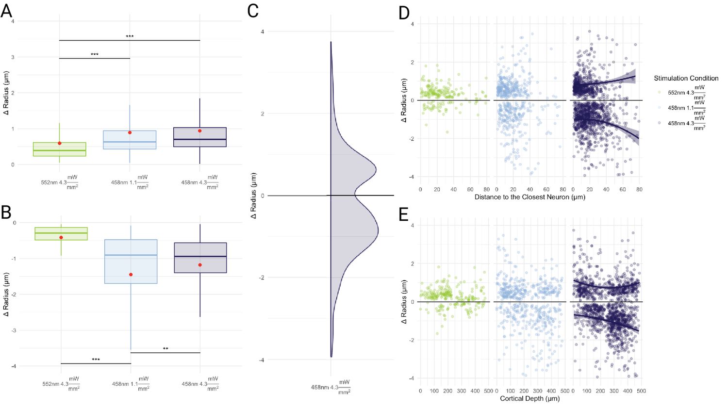 Figure 8. Optogenetic activation-induced changes in vessel-wise microvascular radii.