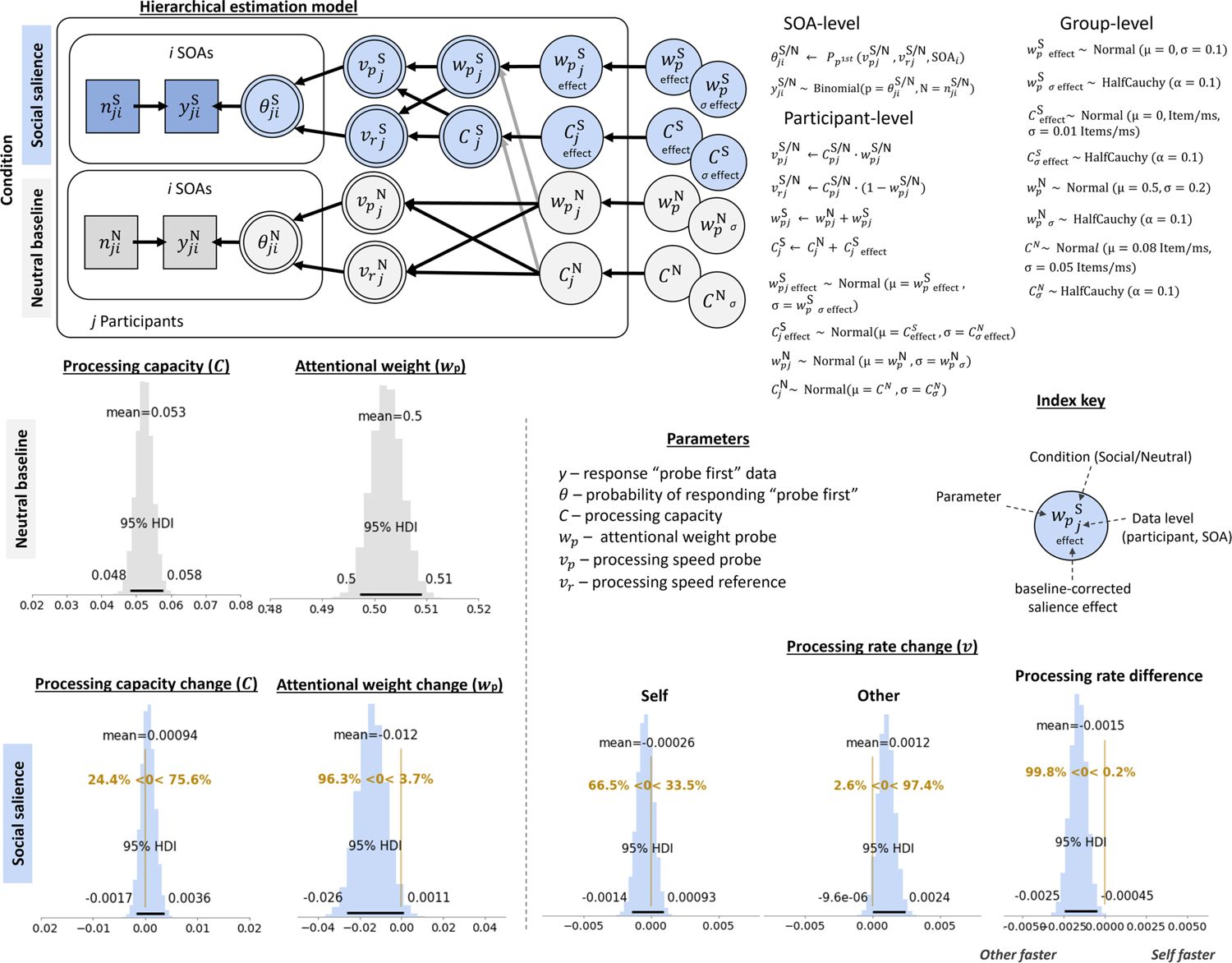 Figure 4. Model structure and cross-experimental social salience effects.